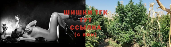 a pvp Богородск