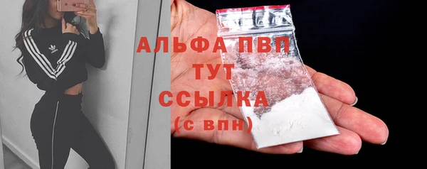 метадон Богданович