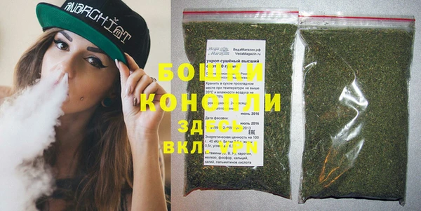 метадон Богданович