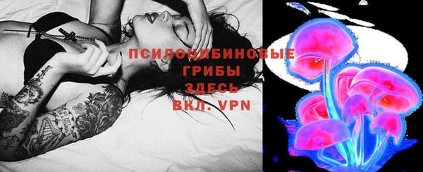 ПСИЛОЦИБИНОВЫЕ ГРИБЫ Богородицк