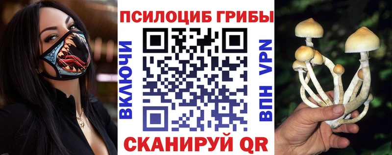 Псилоцибиновые грибы MAGIC MUSHROOMS  наркотики  Неман 
